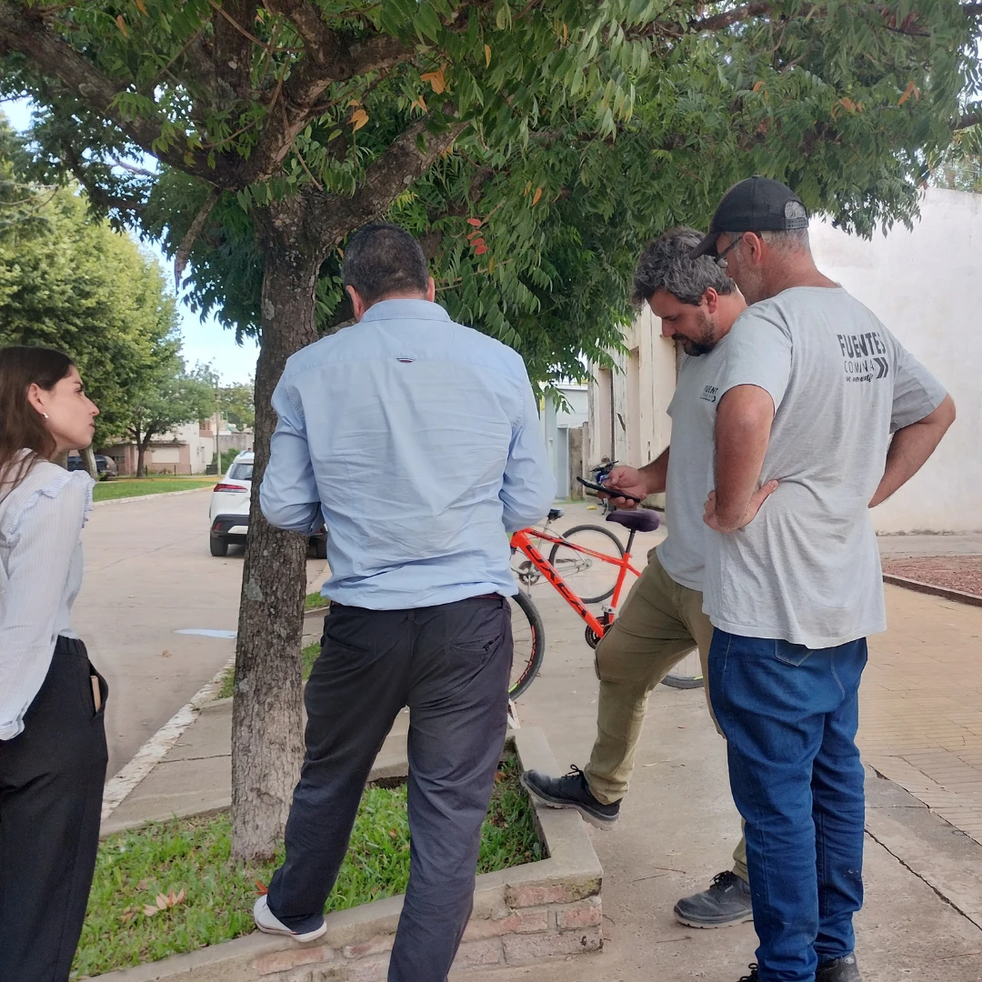Marco normativo para gestión del arbolado urbano